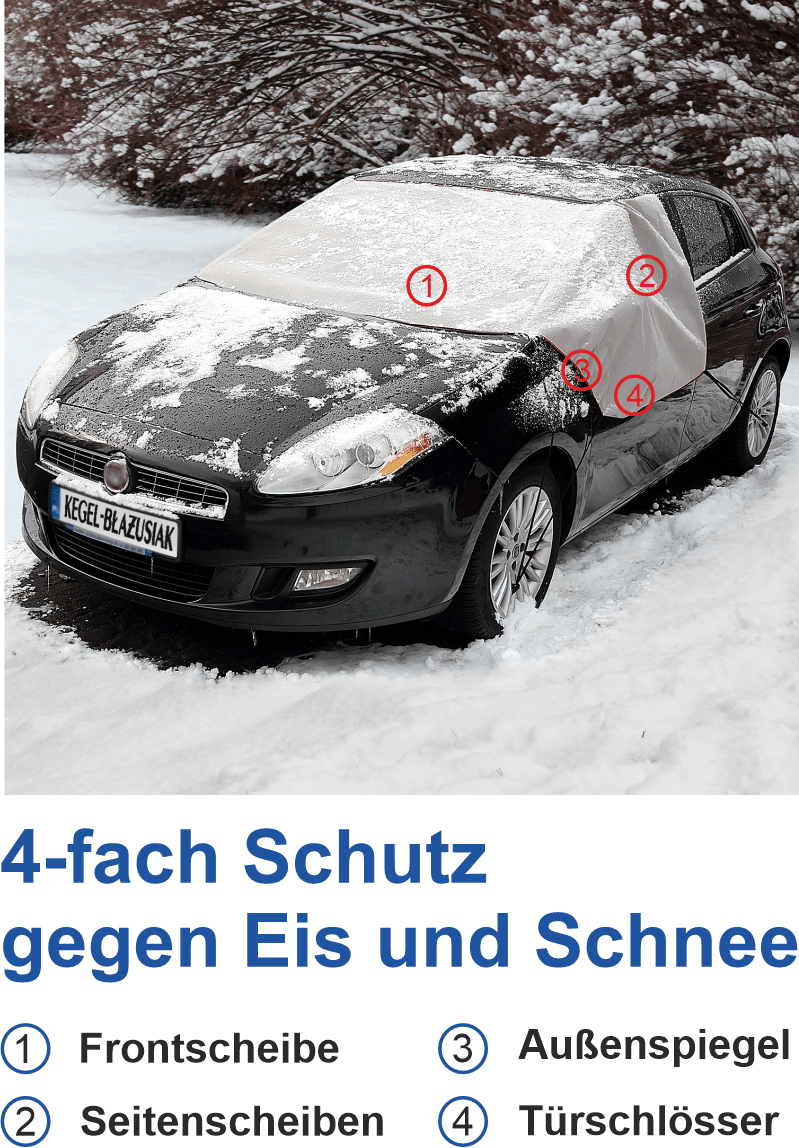 Scheibenschutz Winter Plus